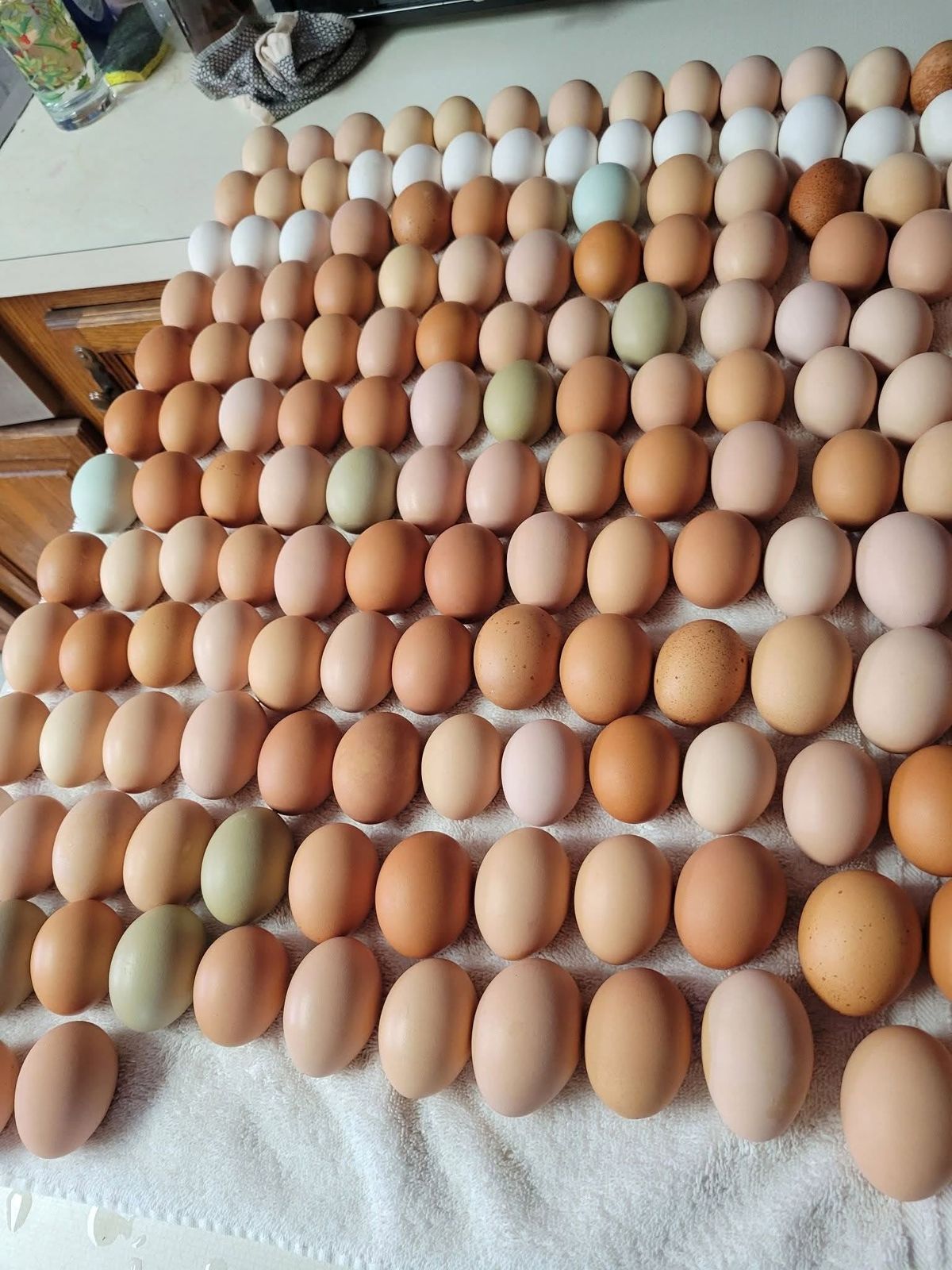 Rows of farm fresh eggs from the Loco Acres flock in shades of brown, cream, white and green